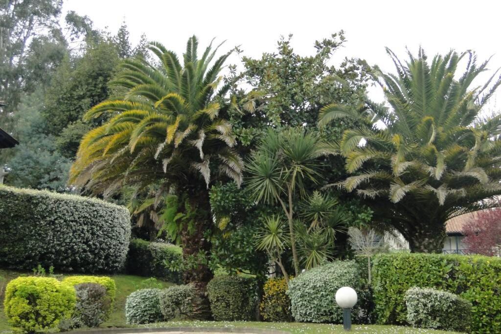 Ciboure:T2, Proximite Golf Et Plages, Vue Sur Mer Exterior foto